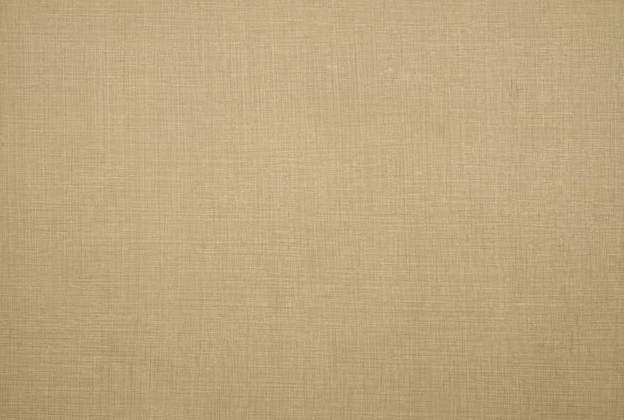 Surface beige clair